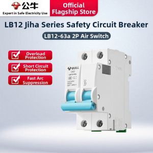 Bull | Popular Home Circuit Breaker 2P