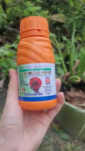 [TRUNG THIEN THINH] Trừ đạo ôn lá đạo ôn cổ bông cổ gié RICE GOLD 421SC chai 240ml lưu dẫn 2 chiều khô nhanh