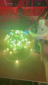 5M~20M 5V USB WS2812B Bluetooth LED String Fairy Lights Dreamcolor RGB IC DIY Party Festival Tree Lights Wedding Decoration Lamp
