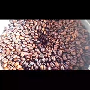 EXCELSA Coffee Ground Beans | Premium Coffee Excelsa | Tayyib