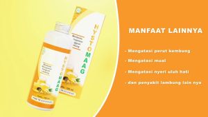 Asam Lambung SEMBUH! HYSTOMAAG Obat Asam Lambung Maag Kronis Nyeri Ulu Hati Tukak LAmbung Nyeri Lambung HYSTOMAAG ORIGINAL