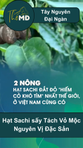Hạt Sachi Sấy Sachi Inchi Sấy Mộc Nguyên Vị Thơm Bùi Béo Đặc Sản Tây Nguyên TheMĐ