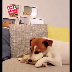GiGwi Đồ chơi thú nhồi bông chút chít cho chó Plush Friendz dáng dài – Đen Ta pet shop