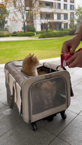 Extra Large Portable Pet Trolley Case Detachable Dog Trolley Case Large Foldable Pet Bag Cat Travel Carrier Bag