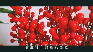 O-KAY 10pcs Artificial Berries 12/15 Heads Simulated Red Berries Flower Branch Plant for Home Vase Decor Christmas Party Decoration