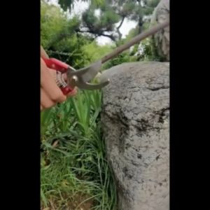 Gunting Dahan Berkualitas: Pilihan Terbaik untuk Tukang Taman