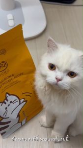 อาหารแมว โจโม่ โฮลิสติก เกรนฟรี กลูเตนฟรี ไม่เค็ม ปลาแซลมอนและมันหวาน พร้อมด้วยพรีไบโอติกส์ และโพรไบโอติกส์ ขนาด 1.5 กก.