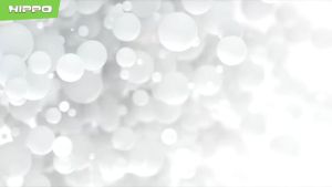 Hippo Costa Gen 3 Adaptor Charger Dual Usb 2.4A 12W Smart Detect Charging