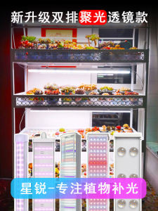 Star Bright Indoor Plant Growth Light Full Spectrum LED Lampshade Glass Sunlight Simulation Succulent Coloring Indoor Greenery