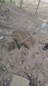 Metal Cat Litter Scoop Black/Sliver Extendable Long Handle Cleaning Shovel Beach Shovel Toilet Pick Up Device