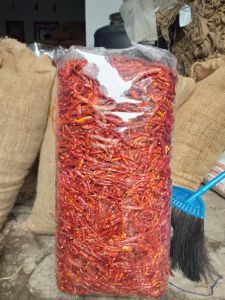 ( 5kg ) CENGEK/CABE TEJA KERING TANPA TANGKAI PEDAS