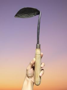 Cungkir Tanaman Sudah Di Asah Siap Pakai Bahan Baja Panjang Seluruh 45 Cm