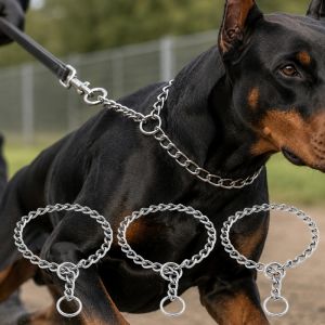 PawPulse【Local Stock】Heavy Duty Choke Chain Collar for Large Dogs  Rustproof Adjustable Training Collar for Walking 2/2.5/3/4mm
