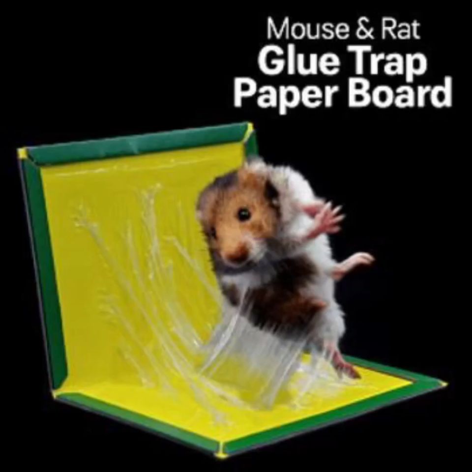 5PCS Mouse Catcher Trap Rat Terminator Rat Glue Board Mouse Trap Sticky Boards Indoor and Outdoor (Pelekat Tikus)