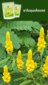 ชาใบชุมเห็ดเทศ ตราไร่กฤติยา (Senna Alata Leaf Tea)