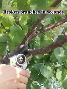 SK-5 Stainless Steel Pruning Shears: A Comprehensive Guide