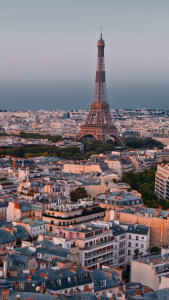 WILSON Roland Garros All Court 3 Ball Per Can (1050 Baht for 4 Can) ลูกเทนนิส WRT126400 Official Store