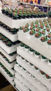 Cốc sạc USB cho điện thoại trên xe hơi hỗ trợ sạc nhanh 2 cổng USB Type C công suất 30W