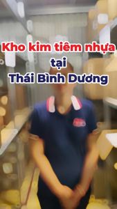 Kim tiêm nhựa (100 cái/hộp) - Đốc đen 7x13 Đốc vàng 9x13 Đốc hồng 12x20 - Thiết bị chăn nuôi Thái Bình Dương