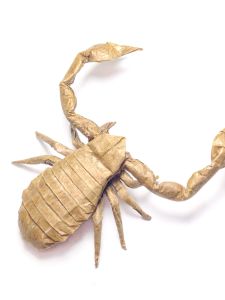 Bộ 40 Gói Thuốc Giấy Gấp Cho Trẻ Em 40g Mỏng Bán Trong Suốt DIY Làm Bằng Tay Sách Trường Học Màu Da Bò Vuông