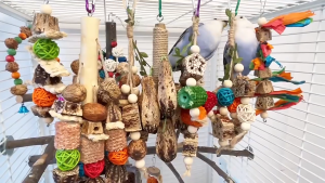 【SG】Wooden Hanging Chew Toys Bird Chew Toys Parakeet Natural Wood Toys Parrot Hanging Cage Accessories