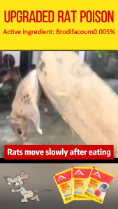 🔥 Get rid of the entire nest of mice 🔥 Rat poison 100% effective rodent bait Poison for mice Mouse traps Rodent bait Rodent repellents Mouse bait Rodent control