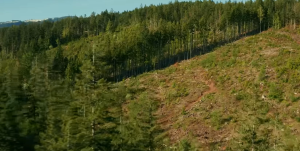 จาน SHIMANO SLX FC-M7100-1 ชั้นเดียว 32T