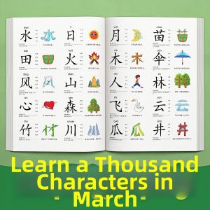 WEVOLA | Chinese Character Recognition Flash Cards for Children