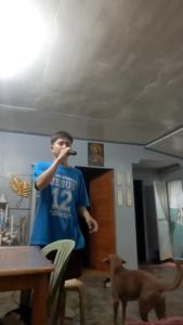 Wireless Microphone Dual Handheld Microphone Rechargeable UHF AA Battery/18650 battery work time 6-8 hours 50M / 164ft  6.35 / 3.5 Adapter For Karaoke Meeting Party Church DJ Wedding Home KTV Set