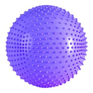 ZhenYa | Sturdy Sensory Training Balance Ball