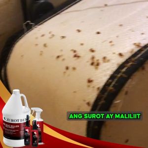BUY 1 TAKE 1 Zurot Buster Goodbye Bedbug Surot Killer Spray Pamatay surot 100ml Eco Friendly