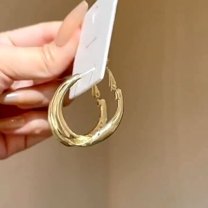 Korean Simple Temperament Pleated Metal Hoop Earrings New Design Geometric Jewelry Accessories