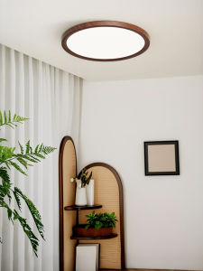 DGY | Ultra-thin Seamless Vintage Style Ceiling Light