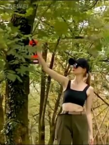 กรรไกรตัดกิ่งไร้สายแบบมืออาชีพไฟฟ้า Pruner แบตเตอรี่ตัดแต่งกิ่งเฉือน 21V ระหว่าง 210 วินาที กรรไกรสวนต้นไม้ Secateurs