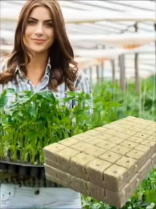 500ชิ้น ฟองน้ำสำหรับปลูกต้นไม้ / บล็อกปลูกต้นไม้ ร็อควูล / ก้อน ร็อควูล สำหรับการเจริญเติบโต / ก้อนเพาะชำแบบระบายอากาศ / ปลั๊กเพาะชำแบบ ปลั๊กสตาร์ทขนสัตว์ สำหรับปลูกพืชแบบไฮโดรโปนิกส์ / บล็อกเพาะชำสำหรับปลูกต้นกล้า อุปกรณ์ตกแต่งสวนในเรือนกระจกในบ้าน