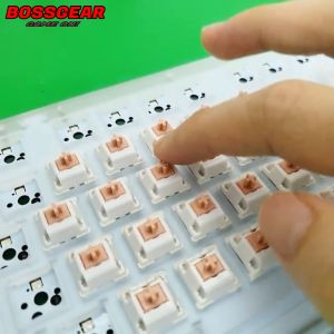 Switch Lẻ MMD Panda Tactile Khấc To Stem POM Chưa Lube 3 Chân Xuyên LED