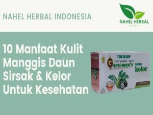 [4 BOX] Teh Celup Kulit Manggis Dan Daun Sirsak Plus Kelor Garci-maxs Original Hikmah Herbal - Garcimaxs Antioksidan & Anti Kanker