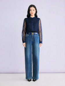 YINER | Commute Ready Textured Heavy Lace Embroidery Stand-up Collar Shirt