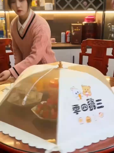 LUMAO Tudung Saji Collapsible Pop Up Dish Cover Portable Mesh Cover Dining Table Cover Anti-flies Food Cover Foldable Lace Food Cover 卡通 可折叠菜罩