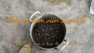 Máy ép cám s150  2 quả lô ép cám ngô  cua cá ốc tôm tép…