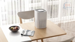 Ready Stock - Large Space Air Purifier with UV Ionizer HEPA Filter - Odor & Formaldehyde Removal