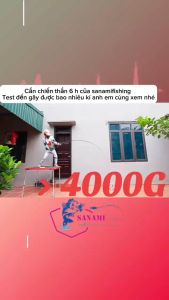 Cần câu tay Chiến Thần 6H Chuyên Săn Hàng Tải Tĩnh 4kg CT23 - Sanami Fishing