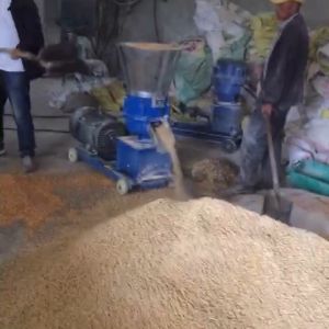 🐓🦆🐂 Mesin Dedak Pelet Farm Pelletizer Machine Makanan Haiwan Peliharaan Ikan Ayam Itik Lembu Kambing Jimat Cost Operasi