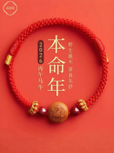 FUJINJIA | Protective Baby and Childrens Charm Bracelet