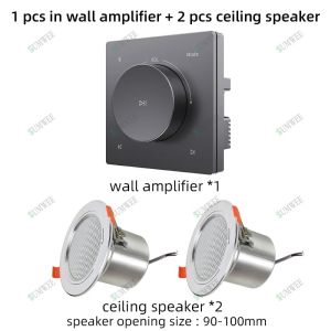 Home Mini Audio Wall Amplifier Hotel Background Music Control Panel TF AUX Bluetooth Player System Stereo Sound Ceiling Speaker