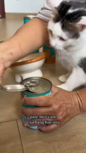 (Kèm Quà Tặng)Pate KUCINTA cho mèo Lon 400g Pate Siêu Nhiều Cá và Hải Sản cho mèo mọi lứa tuổi