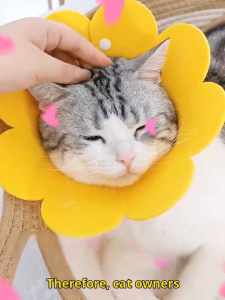 Cat Recovery Collar Pet Elizabeth Cone E-Collar Cute Flower Neck Kitty Cones After Surgery