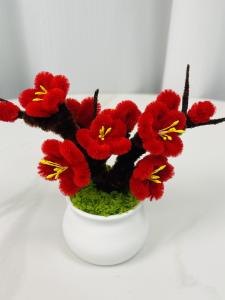 Bộ Đồ Dùng Thủ Công DIY Sáng Tạo Bonsai Hoa Mận Đỏ Quà Tặng Ngày Lễ Cho Mọi Lứa Tuổi Đồ Chơi Mô Hình Sáng Tạo Từ Trung Quốc Đại Lục