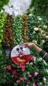 Balon Ulang Tahun Bulat Anak Laki Laki Perempuan karakter cowok cewek ukuran 20 Cm satuan Murah