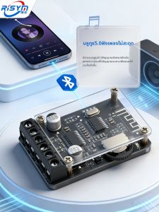 Risym | Stereo Bluetooth Digital Audio Amplifier Board High Power Lossless Modification DIY